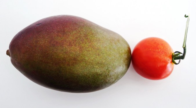 Tomaten trifft Mango Tomaten Mango Suppe DSC08269a