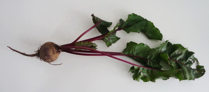 Rote Bete mit Blatt coconutcucumber.com.JPG