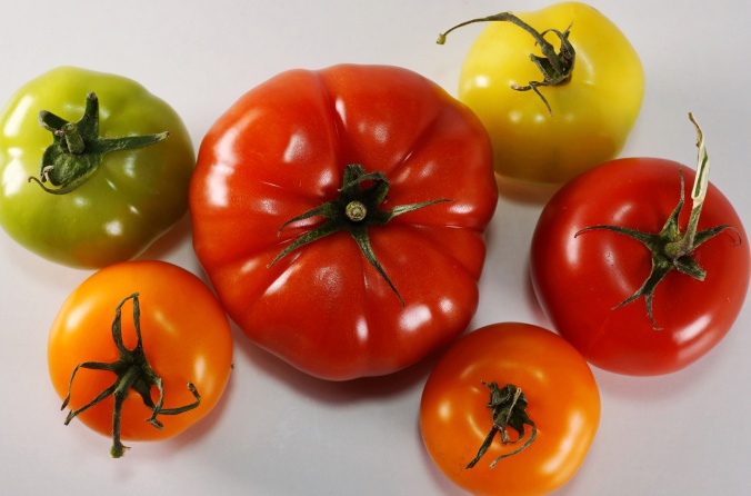 gruene bunte TomatenDSC05915a