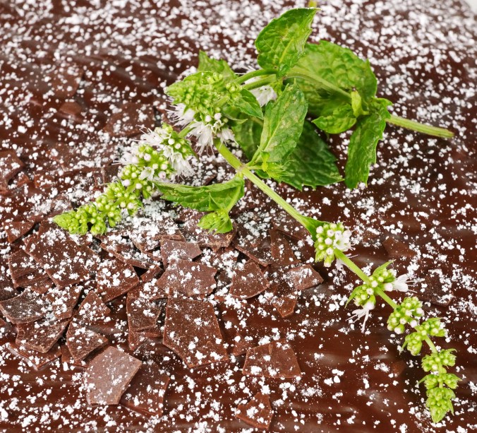 Zucchini Nuss Kuchen DSC07061a.JPG