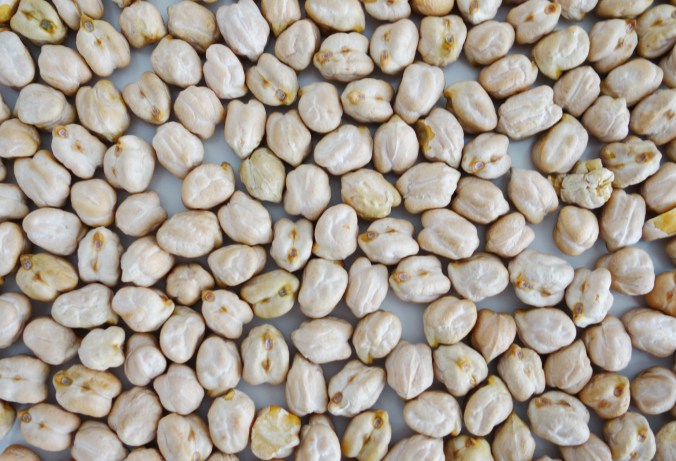 Kichererbsen DSC06087a.JPG