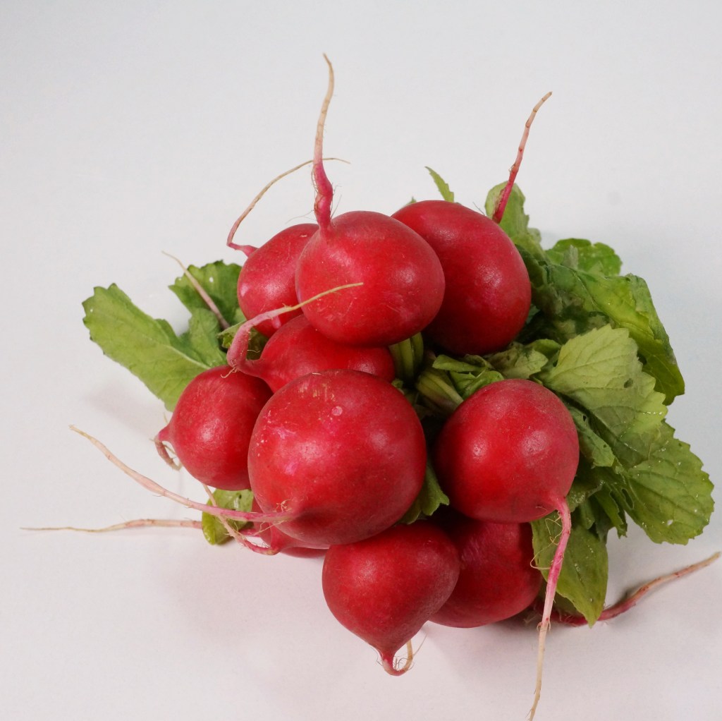 Radieschen-coconutcucumber.com DSC02849a