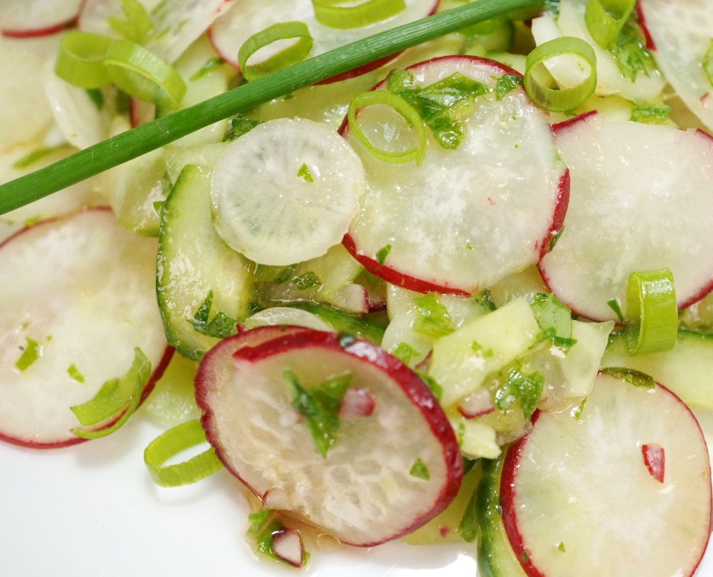 Radieschen Gurken Salat coconutcucumber.com DSC02734