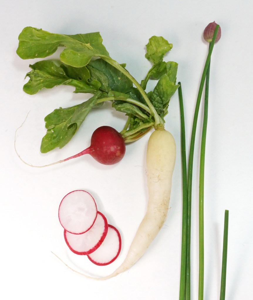 Radieschen Schnittlauch_coconutcucumber.com DSC02720.JPGa.JPG