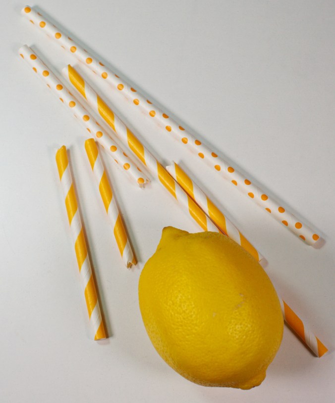 Zitronen ingwer Shot coconutcucumber.com DSC09200a