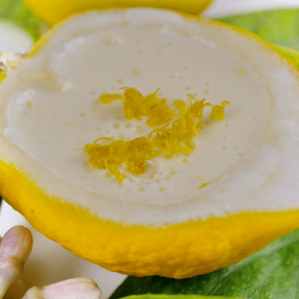 Zitronen Posset * Lemon&nbsp;Posset